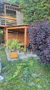 Living in the Gallery