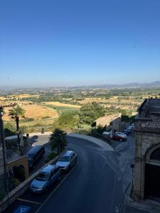 Appartamento dei Leoni - 50 mt dalla Basilica di San Francesco