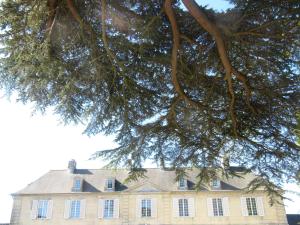 B&B / Chambres d'hotes Bed & Breakfast Chateau Les Cedres : photos des chambres