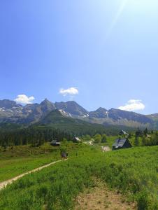 Cicha Woda 300 m od Gorący Potok i Termy Szaflary