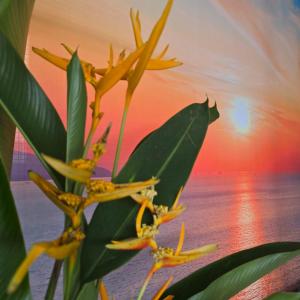 KK Sunset Villa- Full Sunset Balcony, Mosquito Free, 4K TVs, 5G WIFI and more!