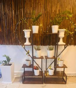 SET INN restaurant & bar 1 & 2