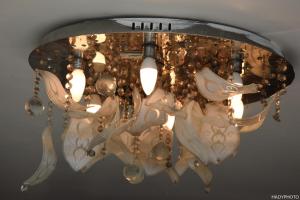 Appartements Appartement dans la Villa Confort - Hebergement Touristique Grand Paris : photos des chambres