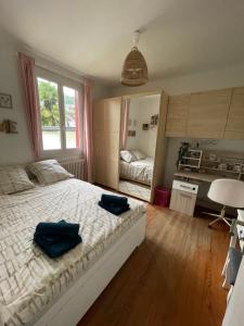 Maisons de vacances Grande maison dans les Pyrenees : photos des chambres