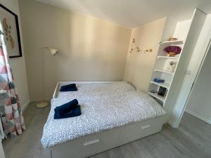 Maisons de vacances Grande maison dans les Pyrenees : photos des chambres