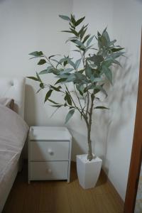 Zen house 2