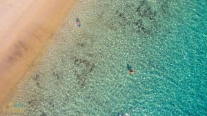 Agia Anna Beach, Naxos, Cyclades, Greece.