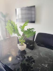 Appartement complexe Costa Mar avec piscine privée très sécurisé 3min de la plage Luxe et détente