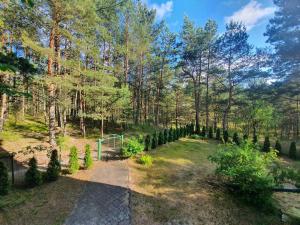 Homey apartment facing a pine forest