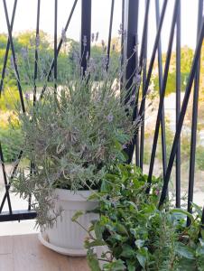 Apartman ELIT Srebrno jezero