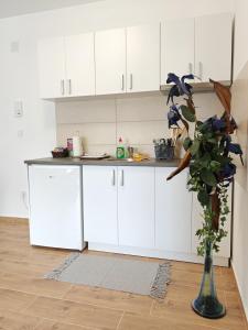 Apartman ELIT Srebrno jezero