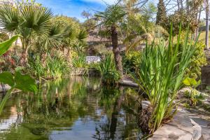 Tetuan 43 - Oasis Properties