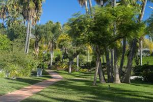 Tetuan 43 - Oasis Properties