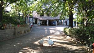 Casale Civetta - Appartamenti con piscina