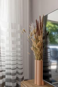 Appartements Pur horizon : photos des chambres