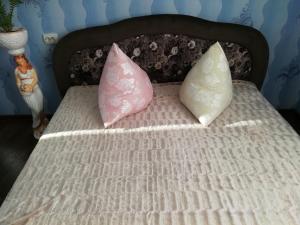 Затишні Апартаменти біля Софіївки 2й поверх