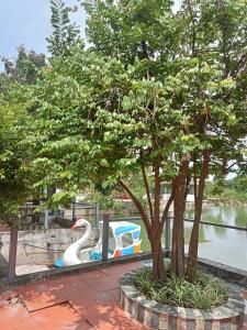 Hoa lu Eco Homestay