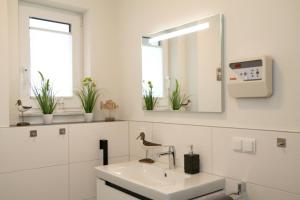 Ferienhaus Diemelblick 39 mit Hund - direkt am Diemelsee mit Sauna, Terrasse und Garten für bis zu 5 Personen