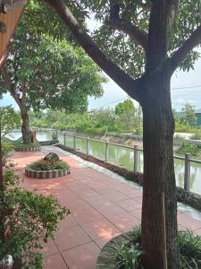 Hoa lu Eco Homestay
