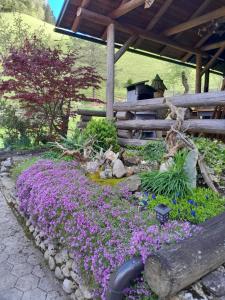 Hiša pod Rogatcem - studio