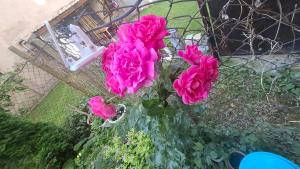 City Center Apartment with a Backyard