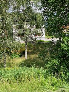 Nyrenoverad lägenhet centralt, nära till kust och natur