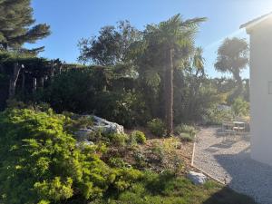 Villas L-Esprit Sud, 4 Suites & Piscine : photos des chambres