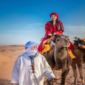 Merzouga Hosting & Camelride