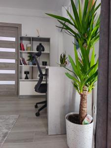 Central Urban Studio with Underground Parking