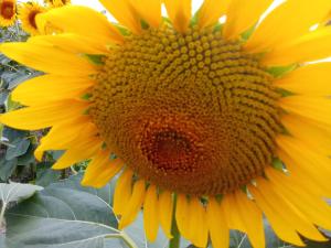 B&B / Chambres d'hotes chambre chez sylvie : photos des chambres