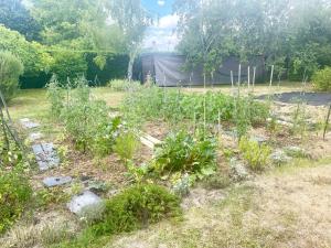 Maisons d'hotes Le Logis du pic vert : photos des chambres