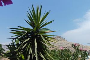 Castle View Apartments