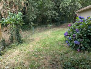Appartements Detente et calme proche bassin : photos des chambres