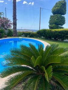 Palm Nest Villa with private pool in Chalkidiki