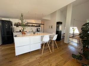 Bright loft 110 sqm with great roof terrace 100 sqm