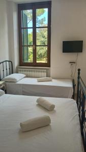 Fratti Central Beach Rooms