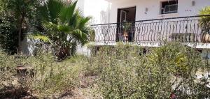 Appartements Bel appartement avec grande terrasse ensoleillee et jardin : photos des chambres