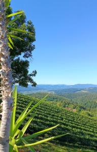Apartment mit Pool und Aussicht