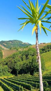 Apartment mit Pool und Aussicht