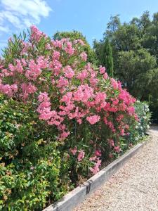 Rez de Jardin dune Bastide VILLA LA GARDI avec Piscine privée