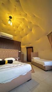 environment wadi rum