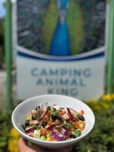 Campings CAMPING ANIMAL KING : photos des chambres