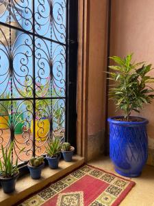 Calm appartment close to airport of Marrakech