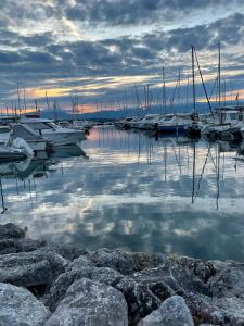 Campings Les bord du Lac Leman : photos des chambres