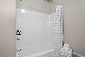 The Black Squirrel in Fairhaven