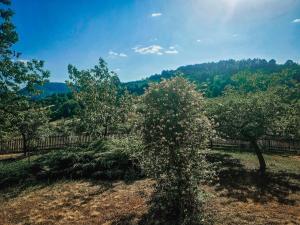 Vikendica ENSO Roge Serbia