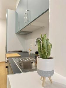 Oasis & Charme au Cœur Ville