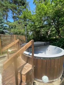 More Holiday Pine House