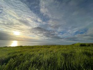 Appartements Appartement sur la place du ma : photos des chambres