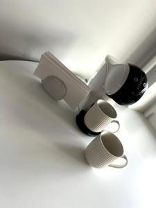 Apartamentai Vanagupės banga